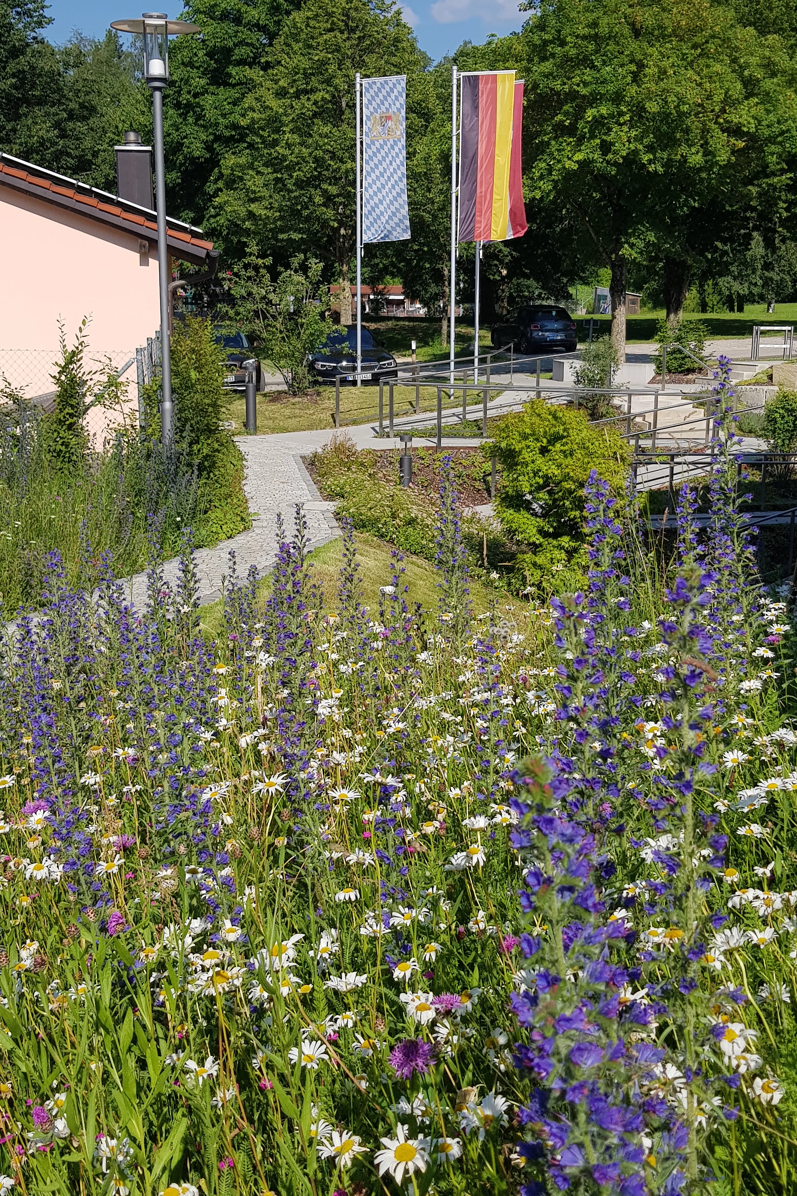 Blumenwiese am Rathaus, dahinter die Flagge Deutschlands und Bayerns